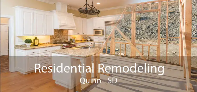 Residential Remodeling Quinn - SD