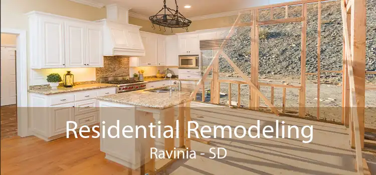 Residential Remodeling Ravinia - SD