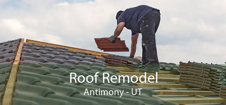 Roof Remodel Antimony - UT