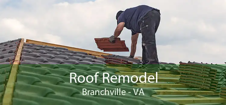 Roof Remodel Branchville - VA