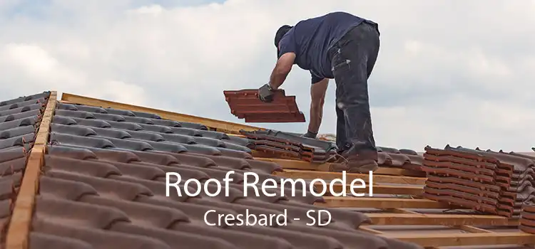 Roof Remodel Cresbard - SD