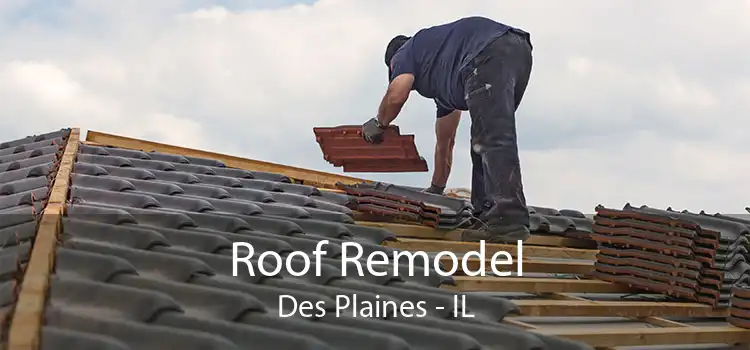 Roof Remodel Des Plaines - IL