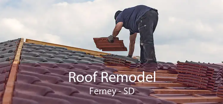Roof Remodel Ferney - SD