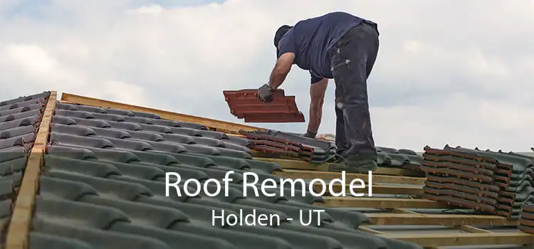 Roof Remodel Holden - UT