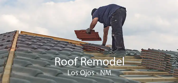 Roof Remodel Los Ojos - NM