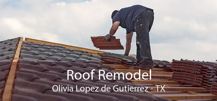 Roof Remodel Olivia Lopez de Gutierrez - TX