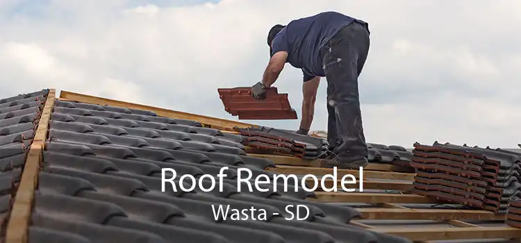 Roof Remodel Wasta - SD