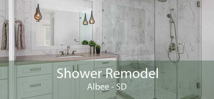Shower Remodel Albee - SD