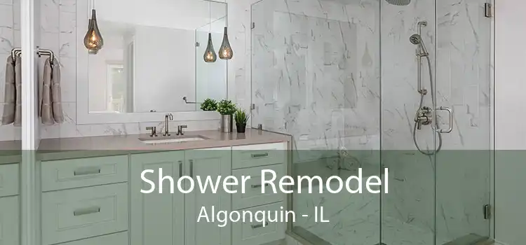 Shower Remodel Algonquin - IL