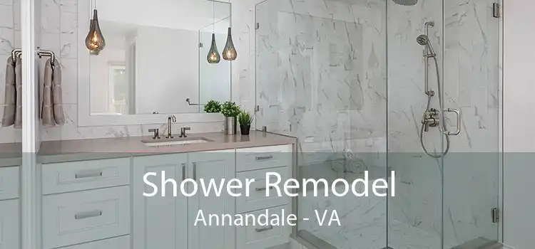 Shower Remodel Annandale - VA