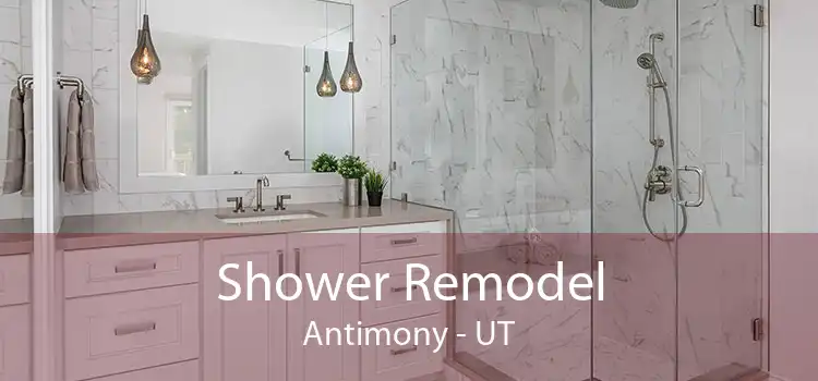 Shower Remodel Antimony - UT