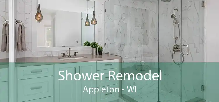 Shower Remodel Appleton - WI