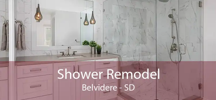 Shower Remodel Belvidere - SD