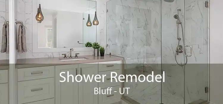 Shower Remodel Bluff - UT