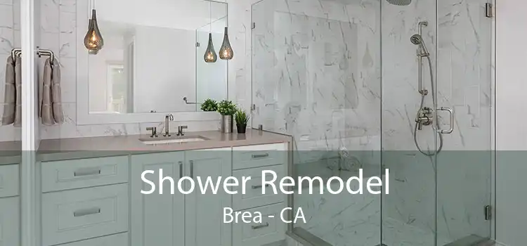 Shower Remodel Brea - CA