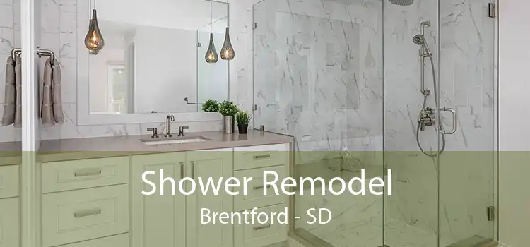 Shower Remodel Brentford - SD