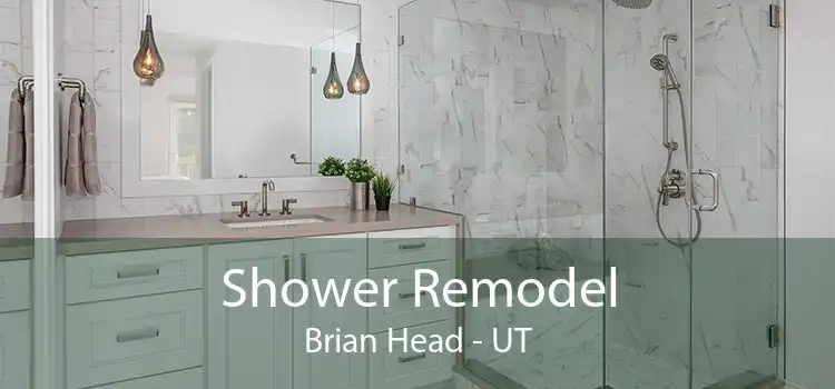 Shower Remodel Brian Head - UT
