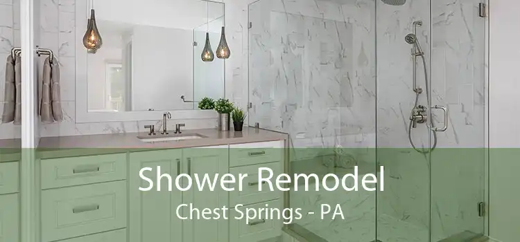 Shower Remodel Chest Springs - PA