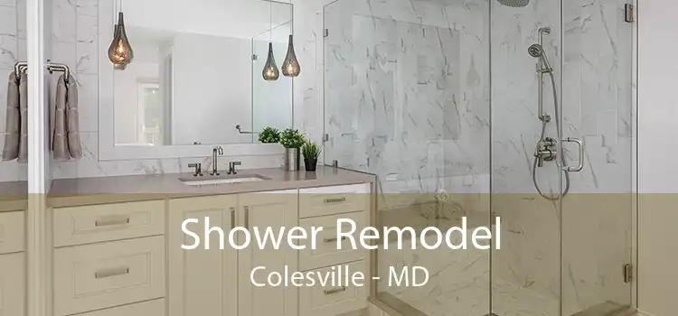 Shower Remodel Colesville - MD