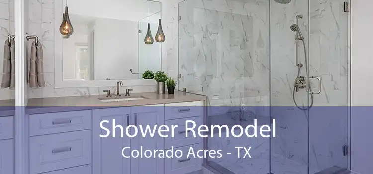 Shower Remodel Colorado Acres - TX