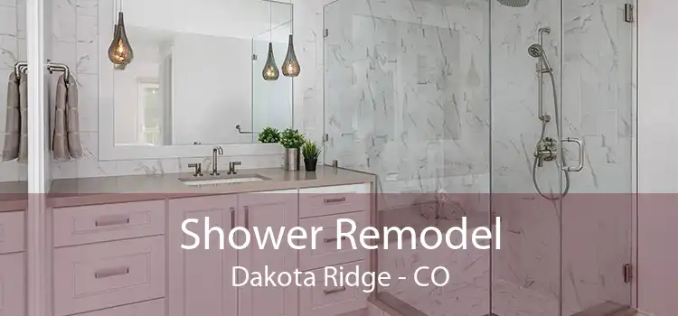 Shower Remodel Dakota Ridge - CO