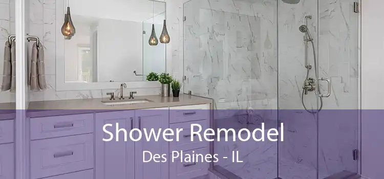 Shower Remodel Des Plaines - IL