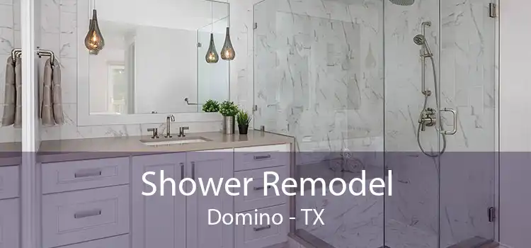Shower Remodel Domino - TX