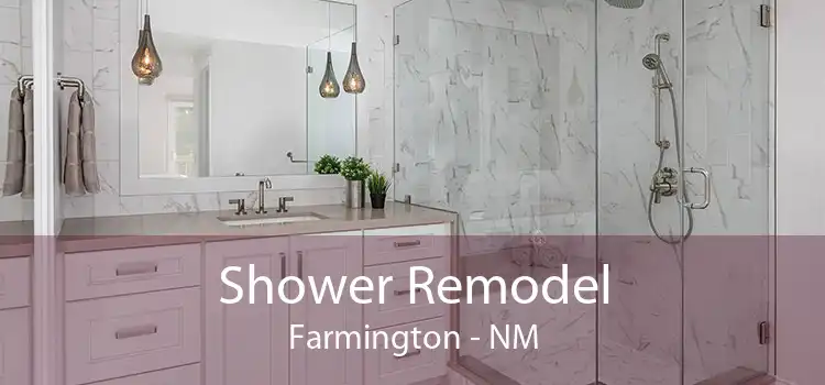 Shower Remodel Farmington - NM