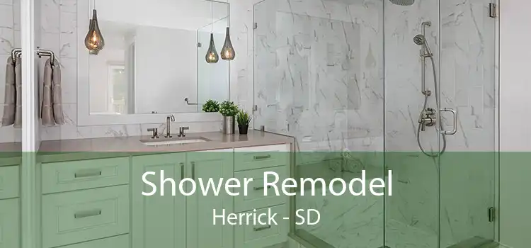 Shower Remodel Herrick - SD