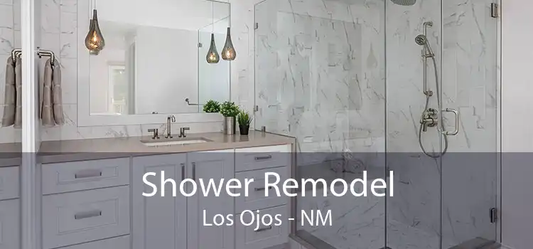 Shower Remodel Los Ojos - NM