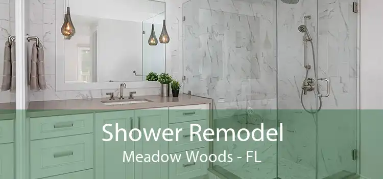 Shower Remodel Meadow Woods - FL