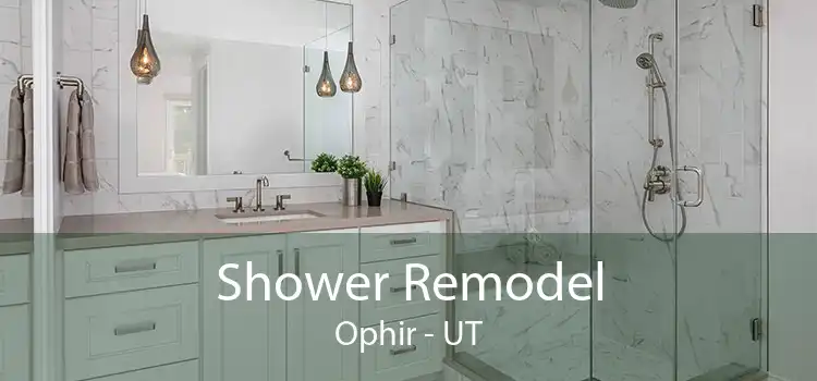 Shower Remodel Ophir - UT