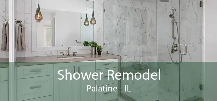 Shower Remodel Palatine - IL