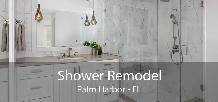 Shower Remodel Palm Harbor - FL
