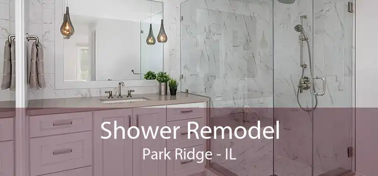 Shower Remodel Park Ridge - IL