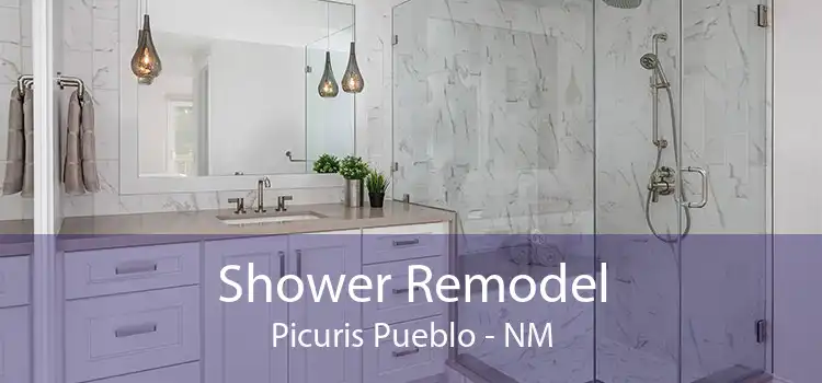 Shower Remodel Picuris Pueblo - NM
