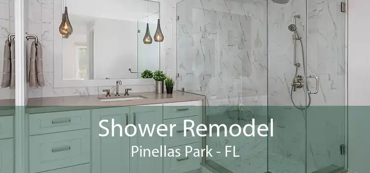 Shower Remodel Pinellas Park - FL