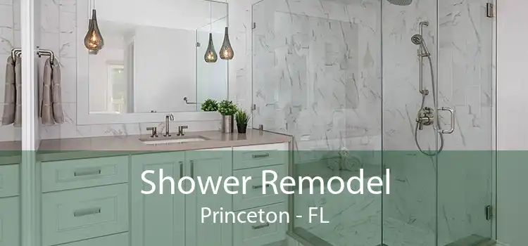 Shower Remodel Princeton - FL