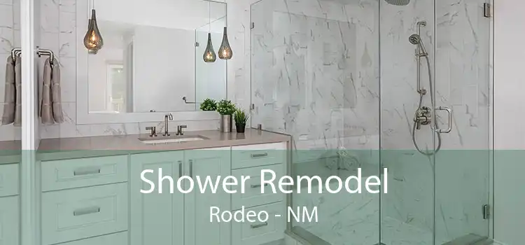 Shower Remodel Rodeo - NM