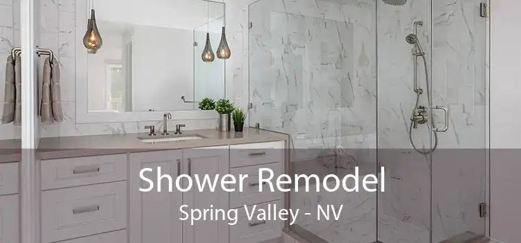 Shower Remodel Spring Valley - NV