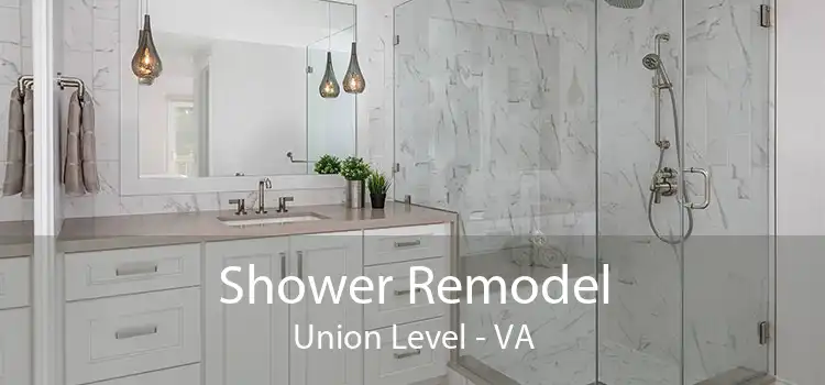 Shower Remodel Union Level - VA