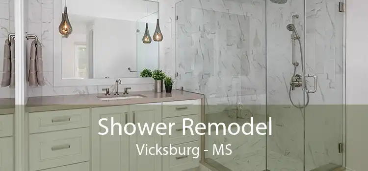 Shower Remodel Vicksburg - MS