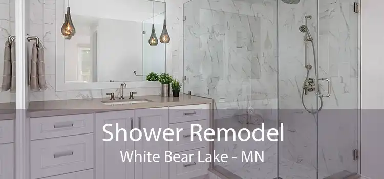 Shower Remodel White Bear Lake - MN